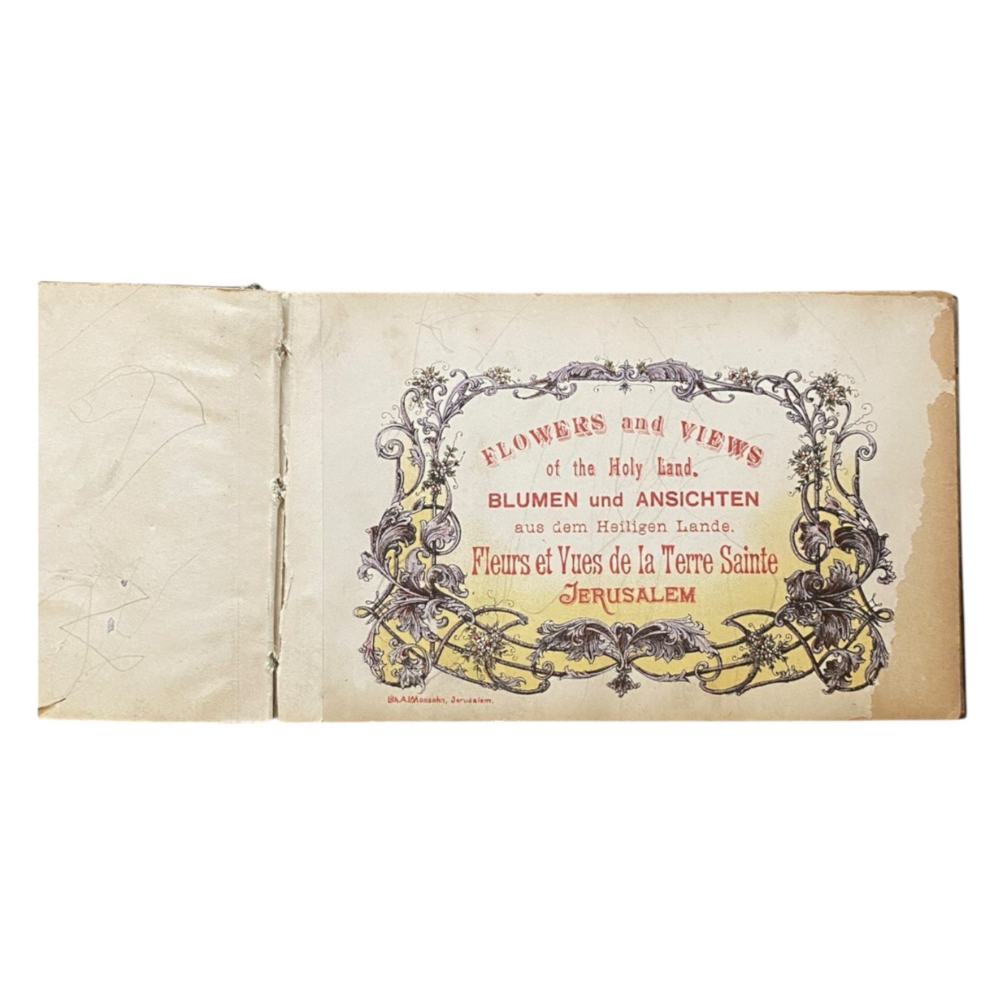 c1900 Flowers & Views Of Holy Land Jerusalem Judaica Judaism Jewish Israel