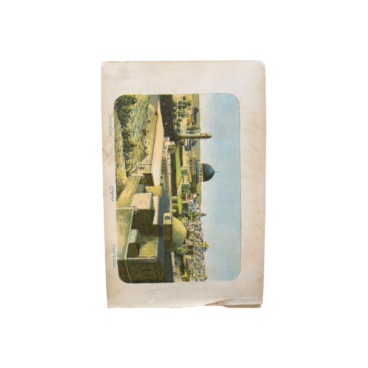 c1900 Flowers & Views Of Holy Land Jerusalem Judaica Judaism Jewish Israel